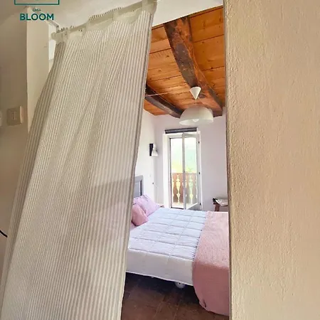 Casa Bloom *