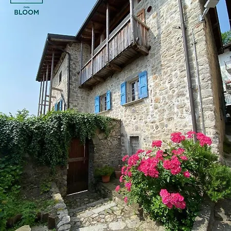 Casa Bloom *