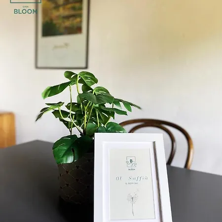 דירה Casa Bloom *