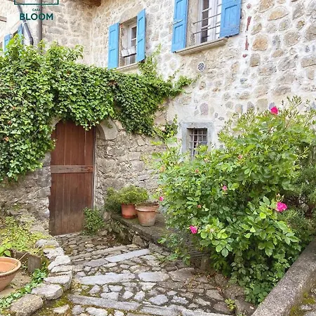 Casa Bloom * Bracca