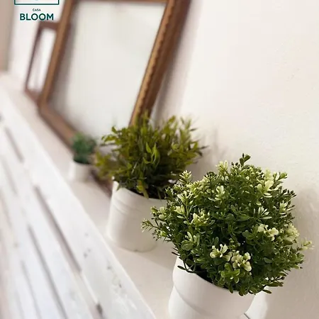 Casa Bloom Bracca