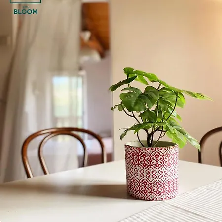 Casa Bloom Daire *