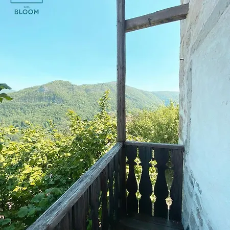 Casa Bloom