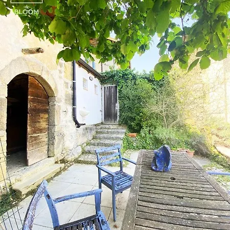 Casa Bloom Daire Bracca