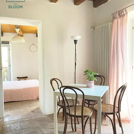 Casa Bloom * Bracca